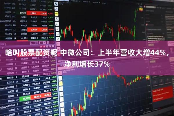 啥叫股票配资呢 中微公司：上半年营收大增44%，净利增长37%