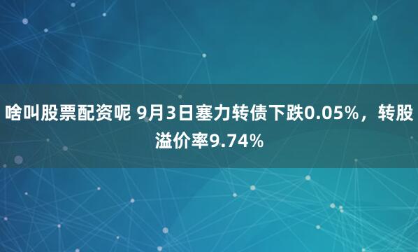 啥叫股票配资呢 9月3日塞力转债下跌0.05%，转股溢价率9.74%