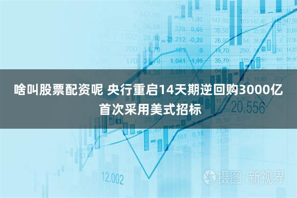 啥叫股票配资呢 央行重启14天期逆回购3000亿 首次采用美式招标