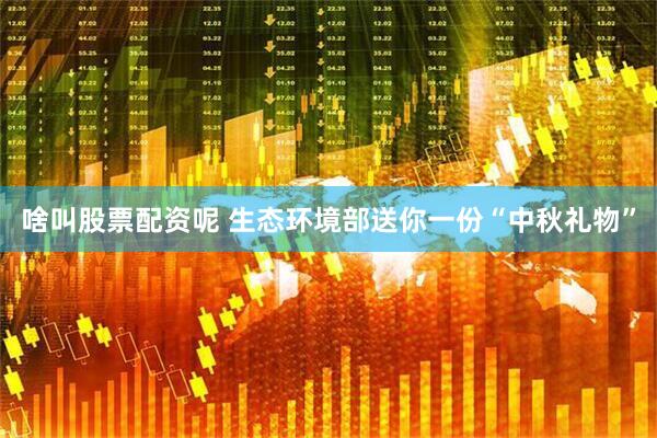 啥叫股票配资呢 生态环境部送你一份“中秋礼物”