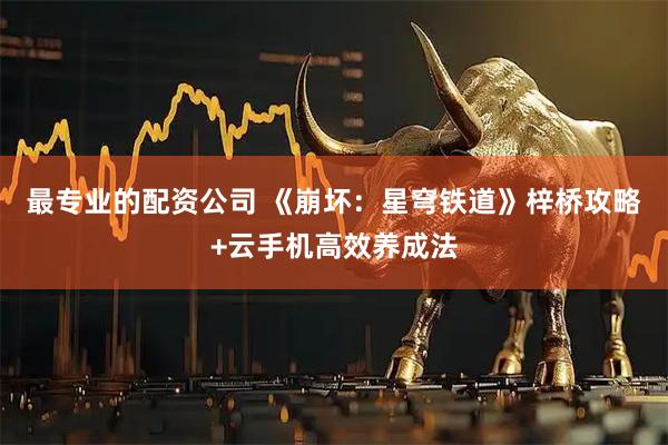 最专业的配资公司 《崩坏：星穹铁道》梓桥攻略+云手机高效养成法